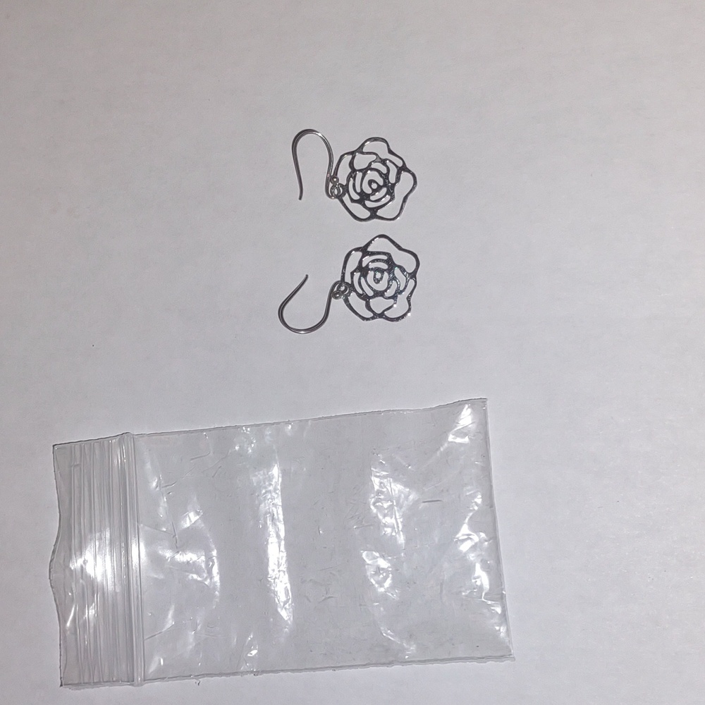 NWT Earrings